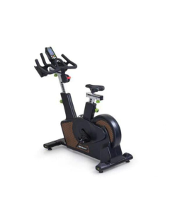 SPORTSART ECO-NATURAL C516 Indoor Cycle